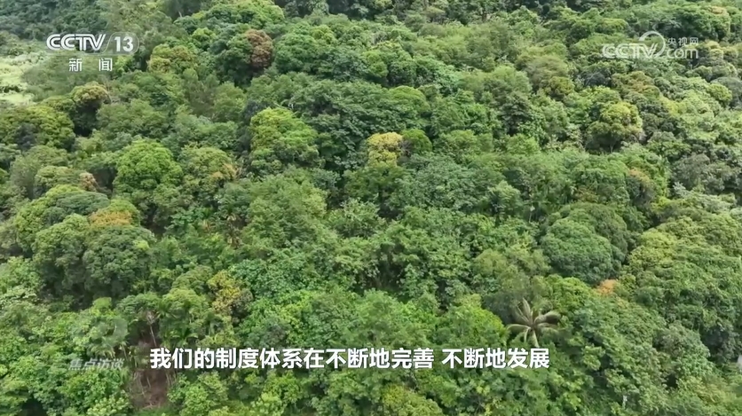 中国式现代化广阔前景 绿水青山间的答卷AG真人游戏平台app焦点访谈：开辟(图2)