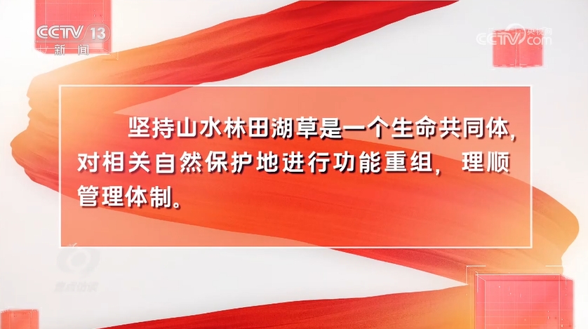 中国式现代化广阔前景 绿水青山间的答卷AG真人游戏平台app焦点访谈：开辟(图8)